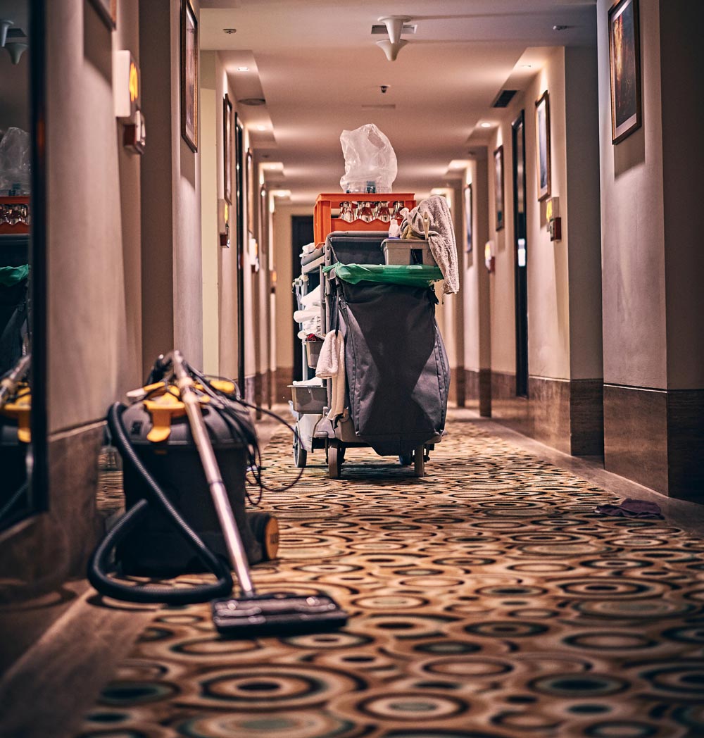 Carpet Removal Services Seattle