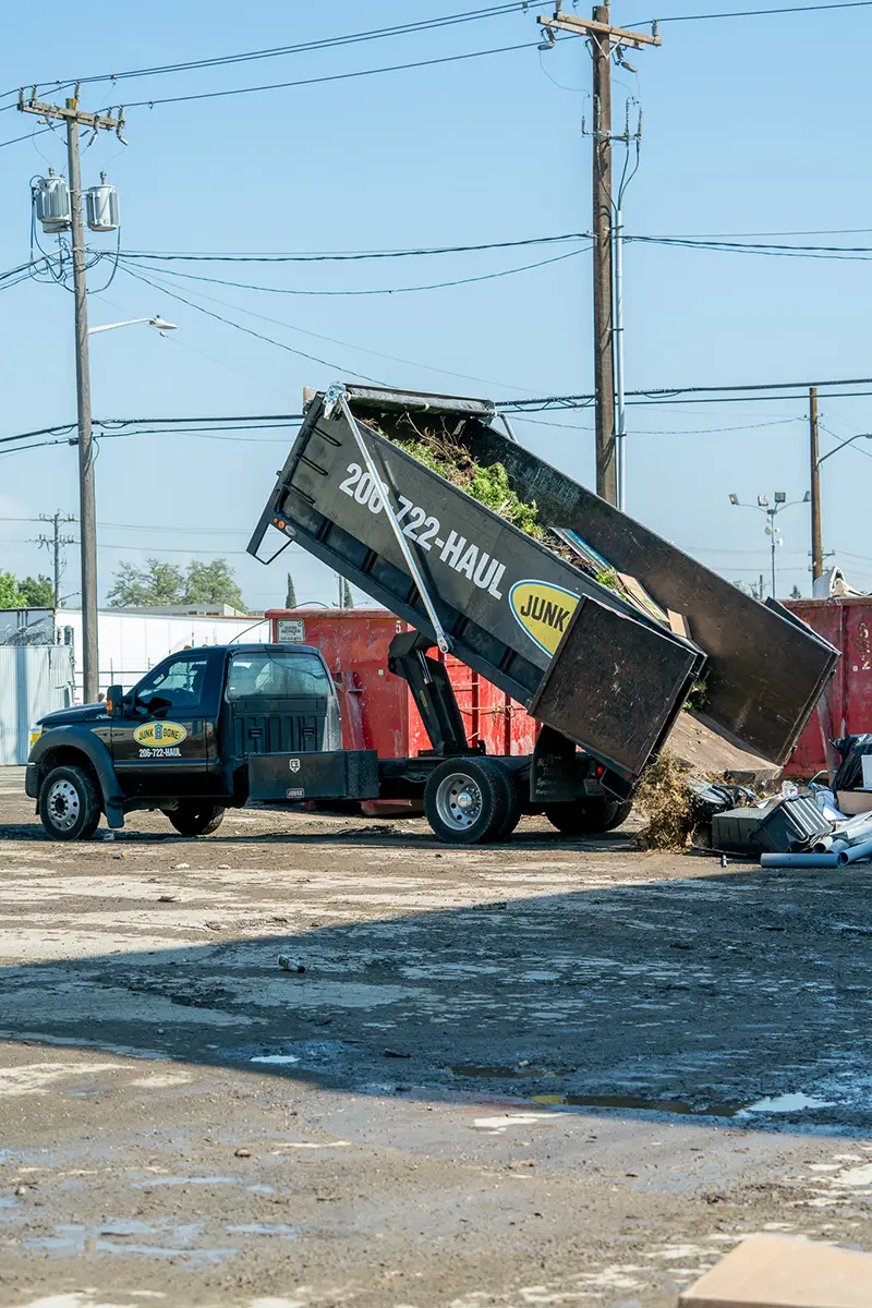 Yard Waste removal services