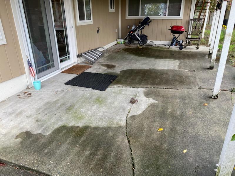 Seattle Insulation Removal Services