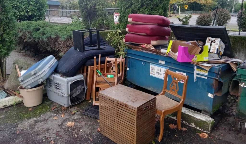 Debris Removal Services Seattle