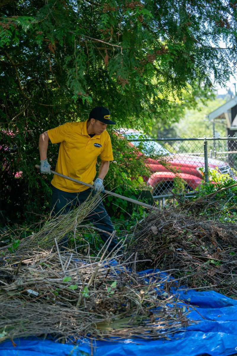 Junk B Gone crew removing yard debris in Kirkland WA