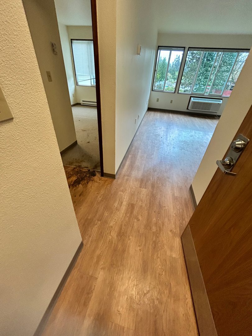 Apartment hallway and living area cleared over hardwood flooring at Elbert House Apartments, Bellevue