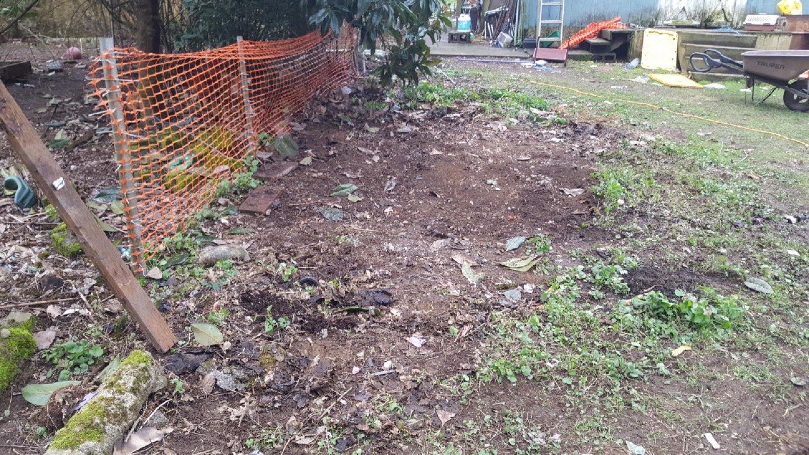 Same backyard cleared of debris after Junk B Gone