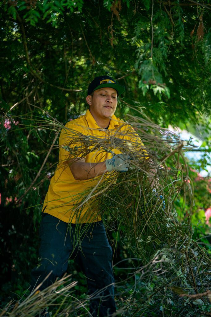 Yard Waste Removal
