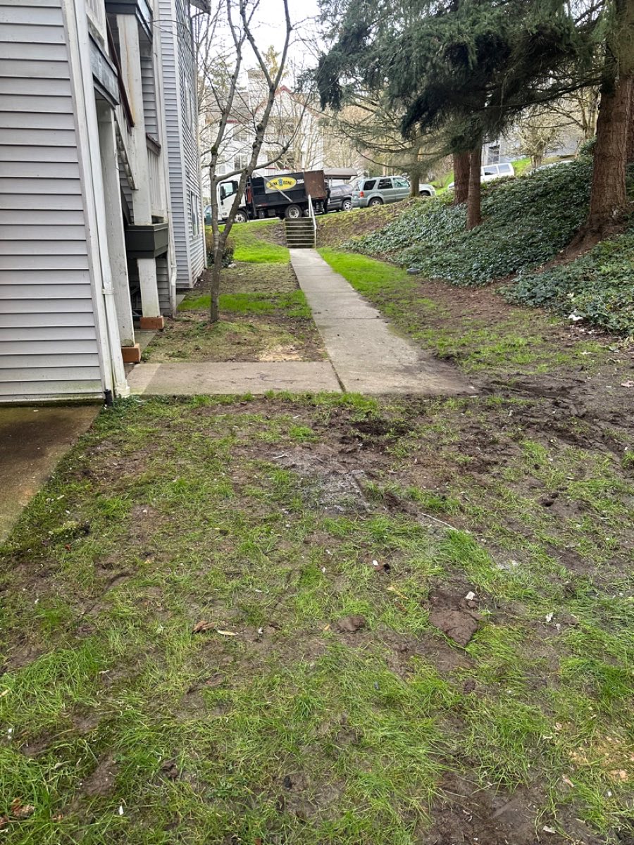 Yard waste and brush removal in Maple Valley WA by Junk B Gone