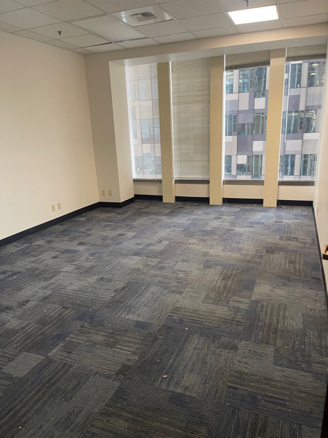 Downtown Seattle office emptied to bare carpet after a Junk B Gone commercial cleanout