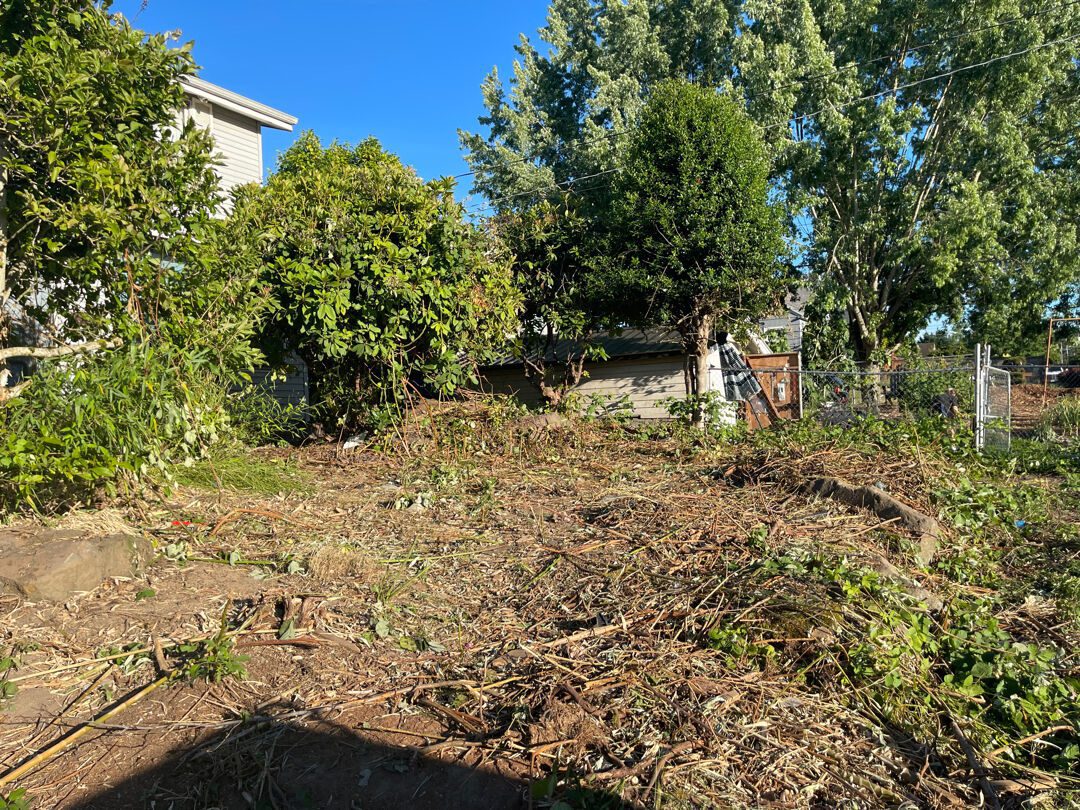Seattle backyard cleared to open ground after the Junk B Gone crew finished