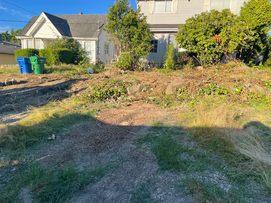 Seattle front yard cleared down to bare ground after the Junk B Gone crew finished the cleanout