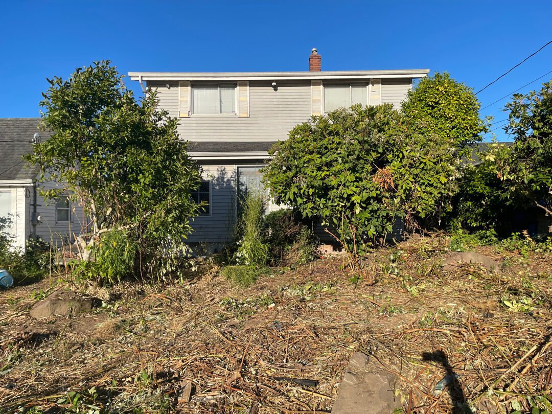The house visible again from the yard after Junk B Gone cleared the overgrowth and debris